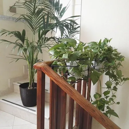 Szálloda Loreto Milánó